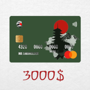 MasterCard Prepaid 3000$ Balance