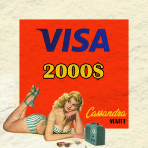 Visa $2000 Balance