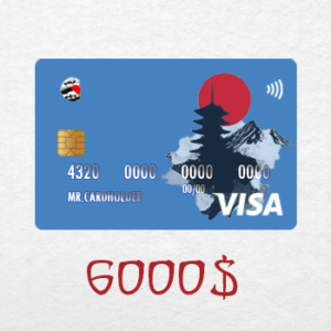 Visa Prepaid 6000$ Balance